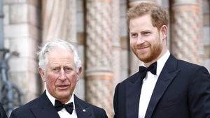 Prince Harry Visits King Charles Amid Cancer Diagnosis as Prince William Takes on More Royal Duties